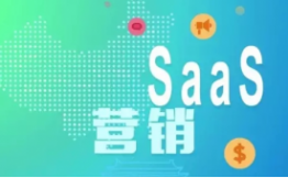 营销SaaS在中国