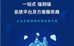 上海激荡—用软件重新定义商业 赋能中国传统企业