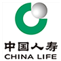 中国人寿保险（集团）公司案例